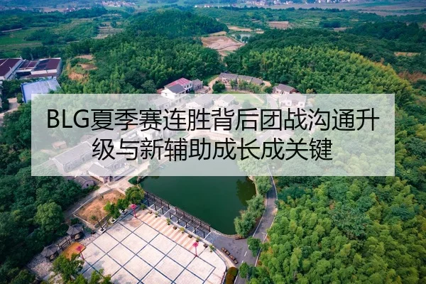 BLG夏季赛连胜背后团战沟通升级与新辅助成长成关键