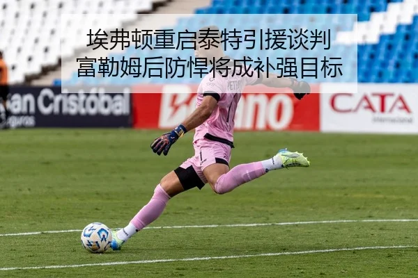 埃弗顿重启泰特引援谈判 富勒姆后防悍将成补强目标